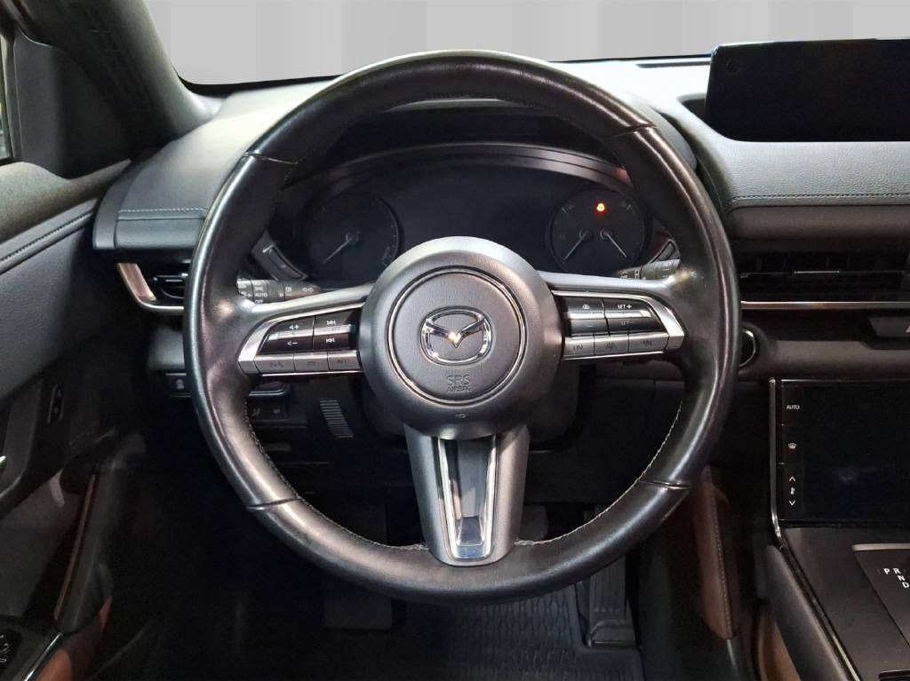 MAZDA MX-30 e-Skyactiv Revolution-image-6
