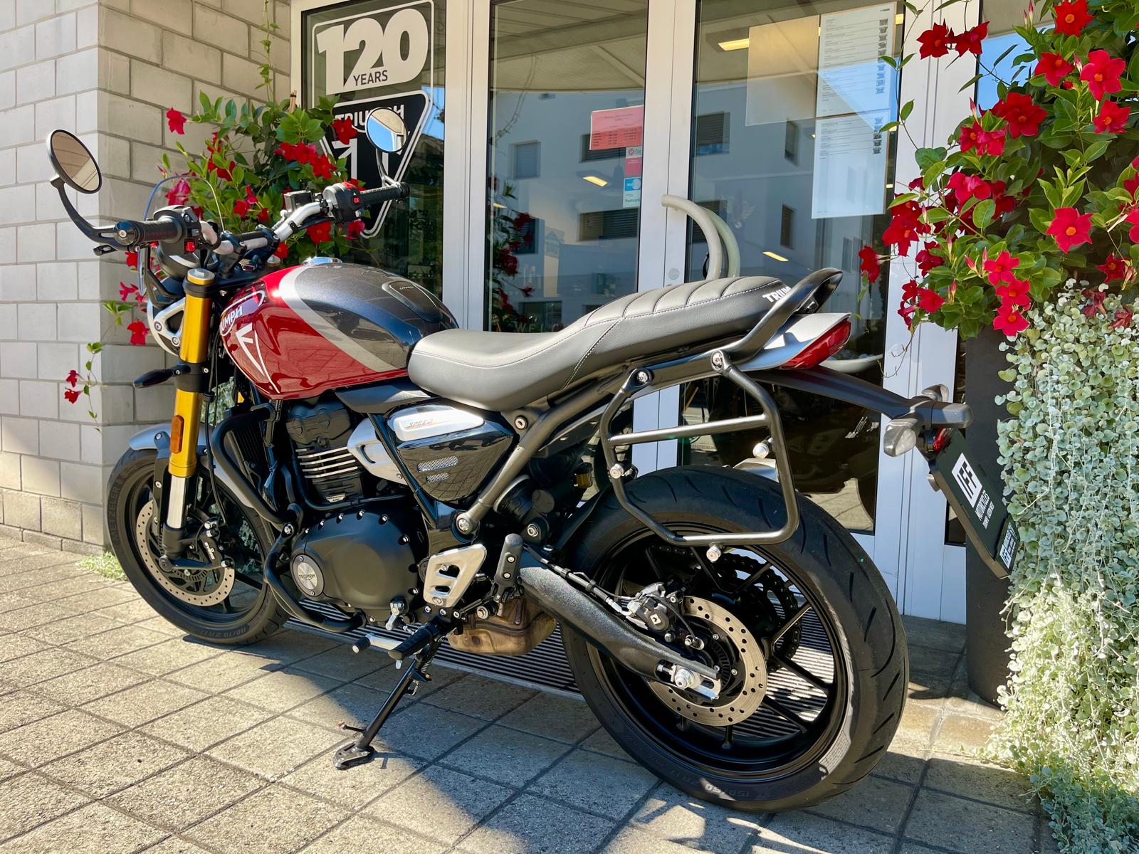 TRIUMPH Speed 400-image-5