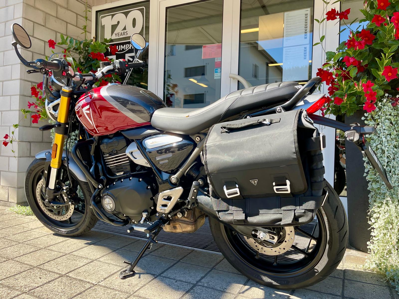 TRIUMPH Speed 400-image-6