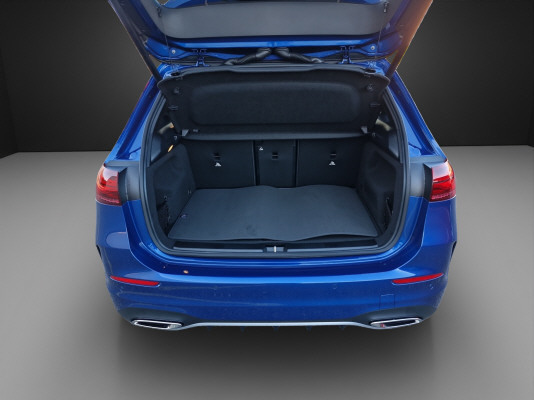 MERCEDES-BENZ B 250 4Matic 8G-DCT-image-10