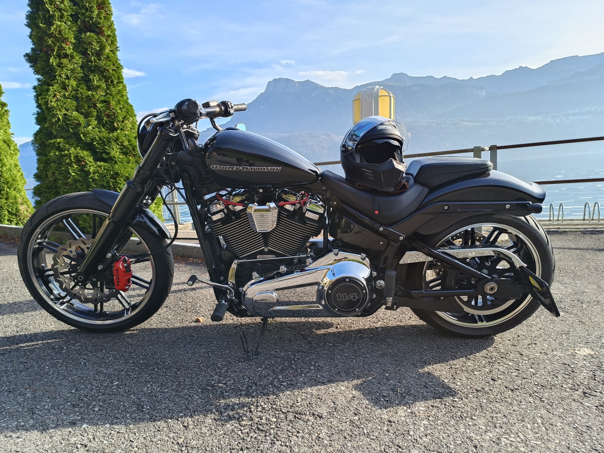 HARLEY-DAVIDSON FXBRS Breakout 114 ABS-image-9