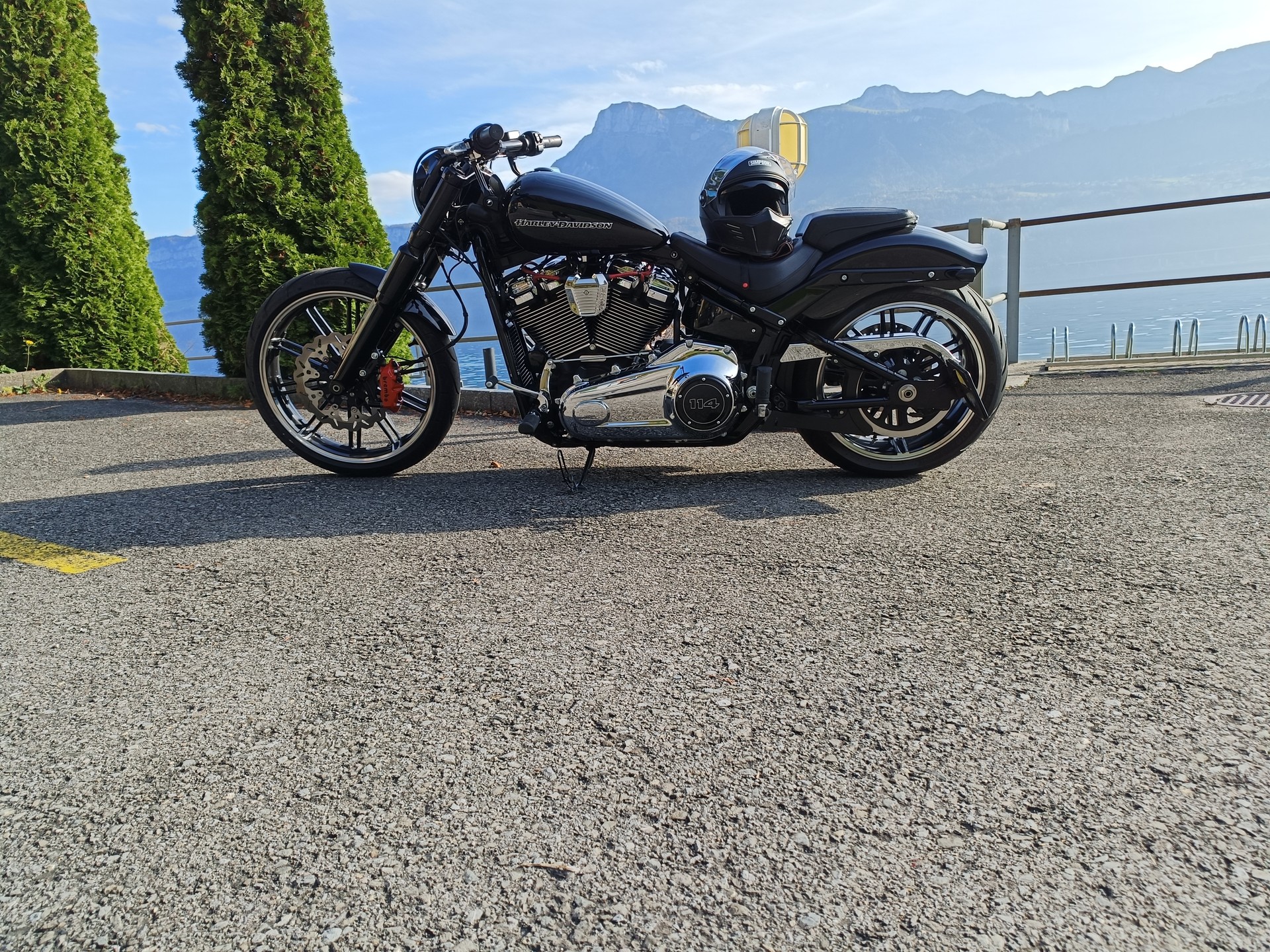 HARLEY-DAVIDSON FXBRS Breakout 114 ABS-image-8