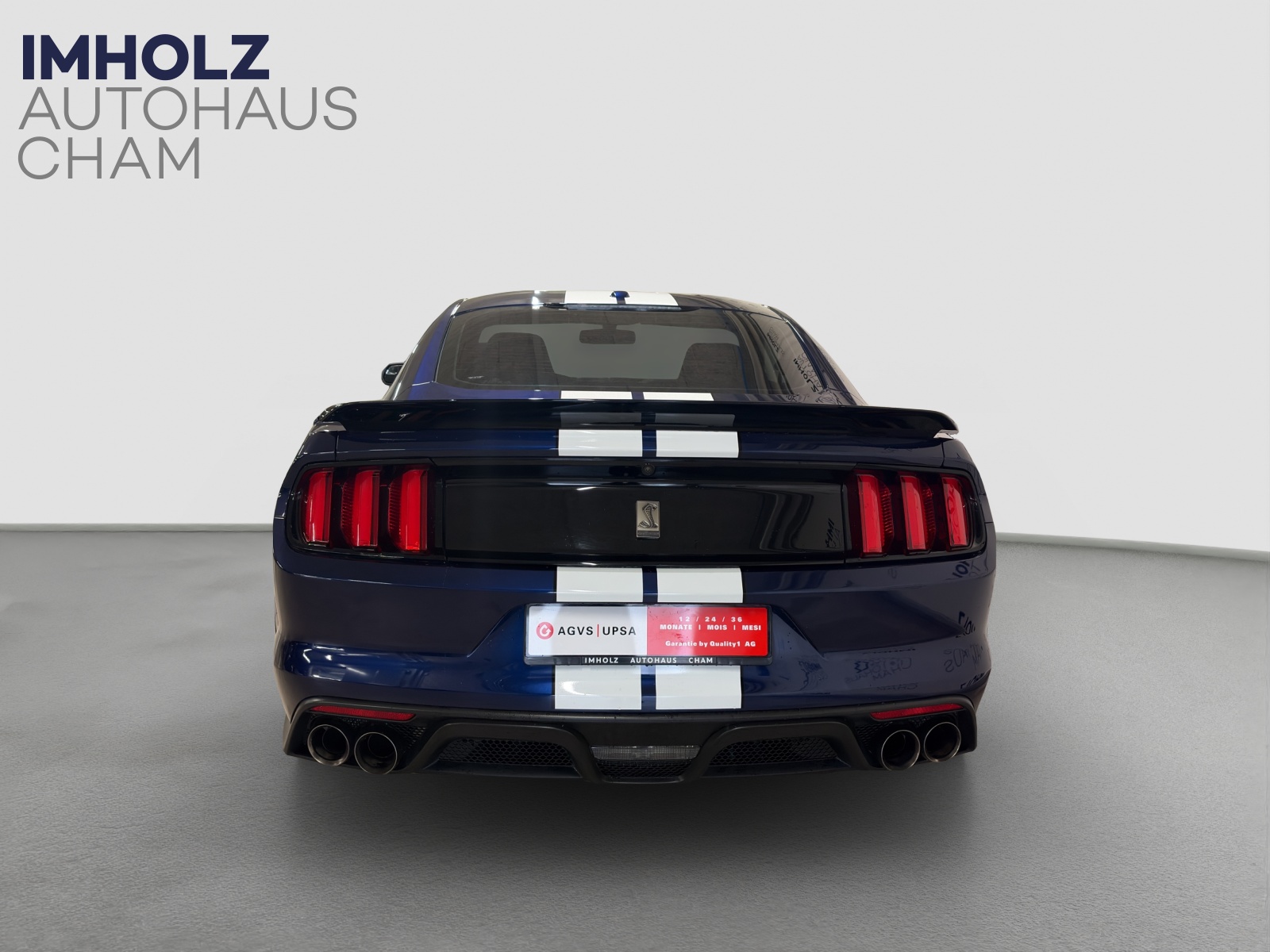 FORD Mustang Shelby 350 GT-showroom-element-3