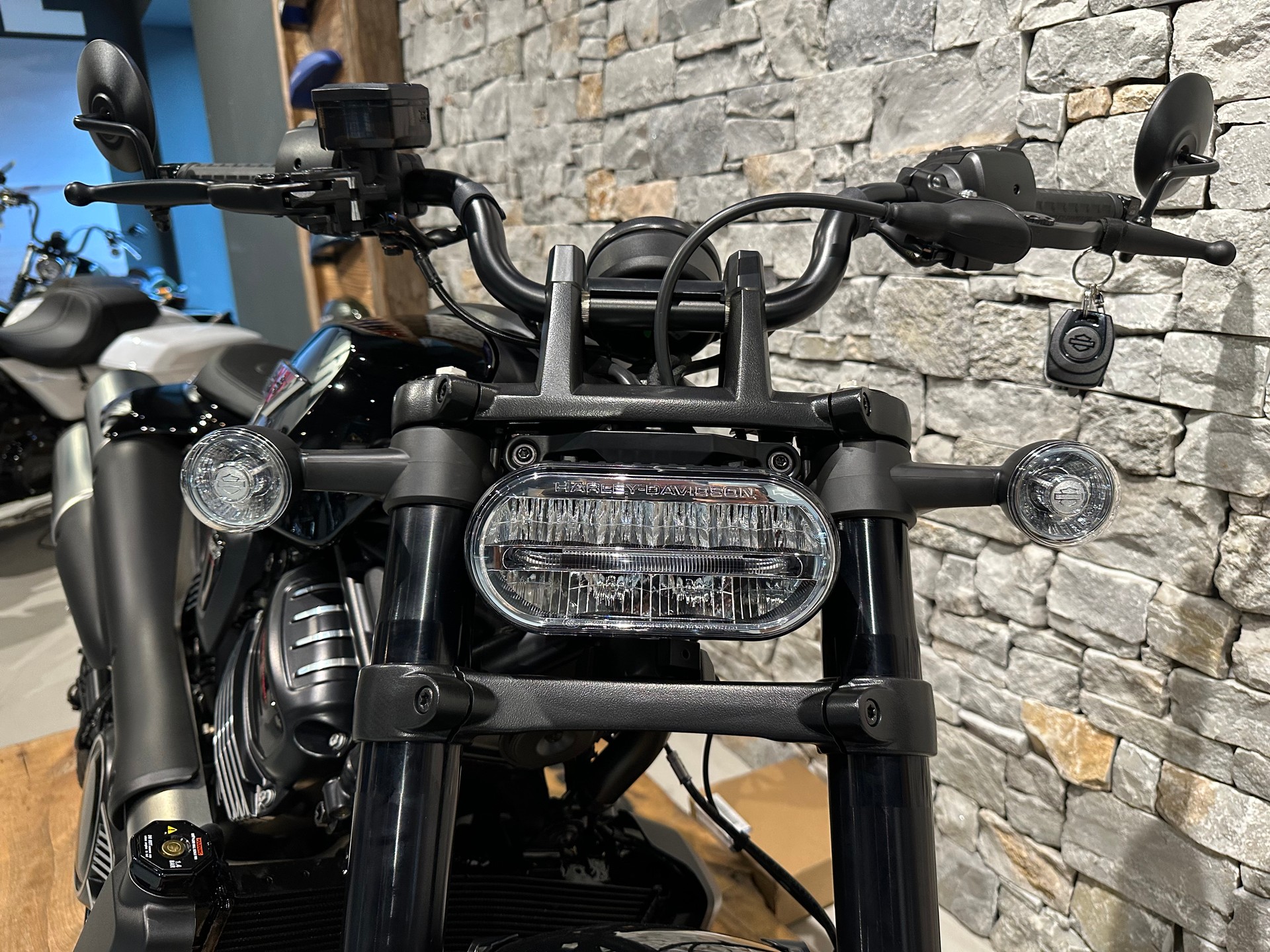 HARLEY-DAVIDSON RH 1250 Sportster S-image-8