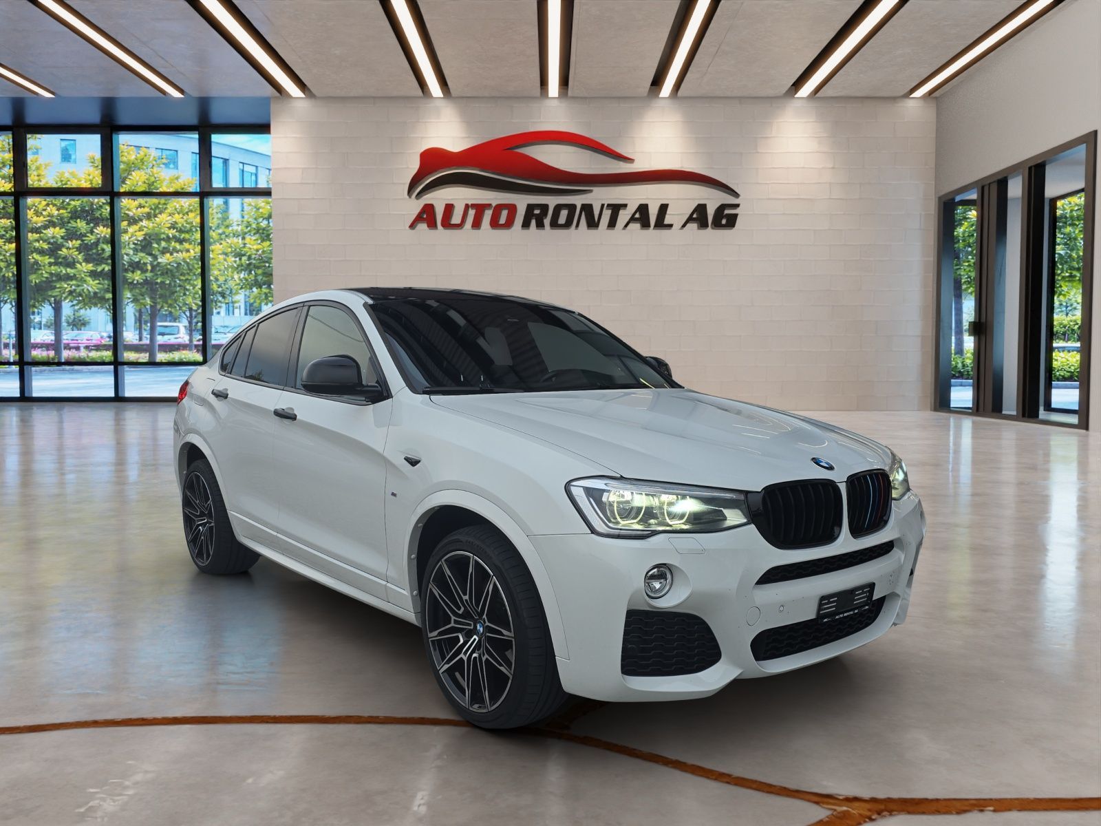 BMW X4 xDrive 20d Steptronic-showroom-element-1