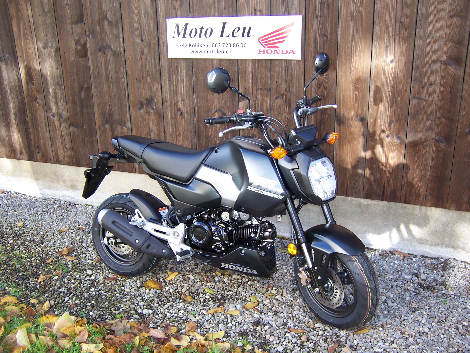 HONDA MSX 125-image-1