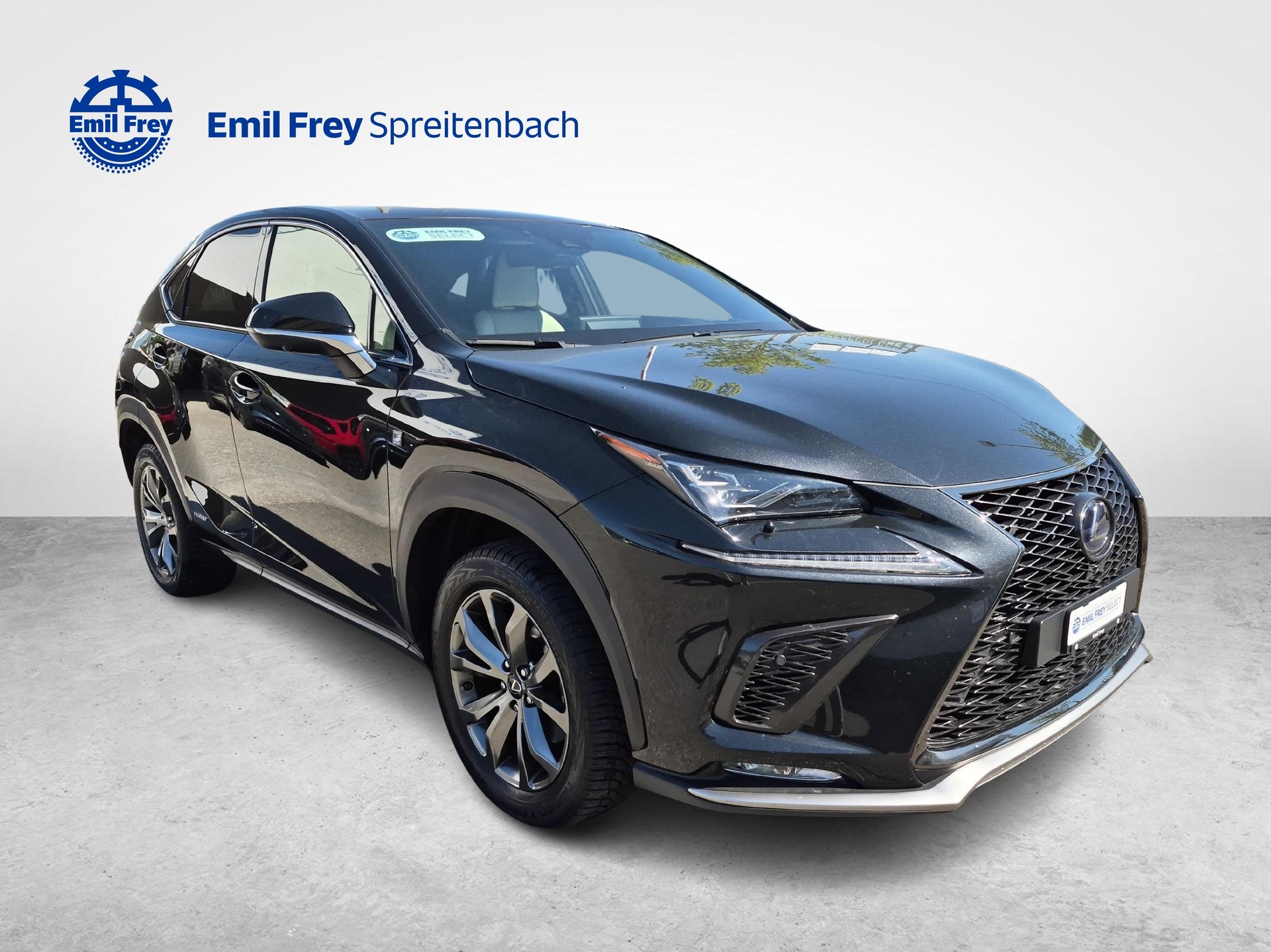 LEXUS NX 300h F-Sport / ab 3,99% Leasing bei Abschluss einer Protect Autoversicherung-image-6
