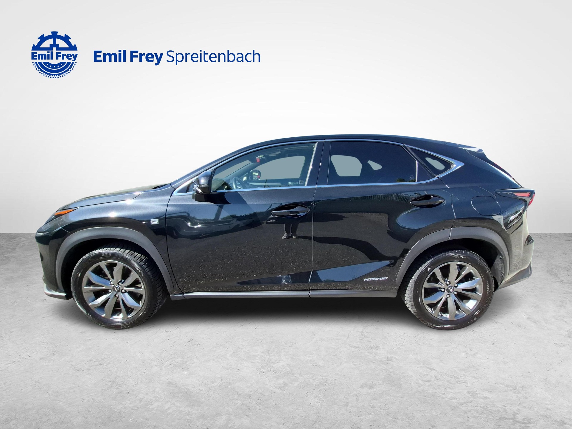 LEXUS NX 300h F-Sport / ab 3,99% Leasing bei Abschluss einer Protect Autoversicherung-showroom-element-1