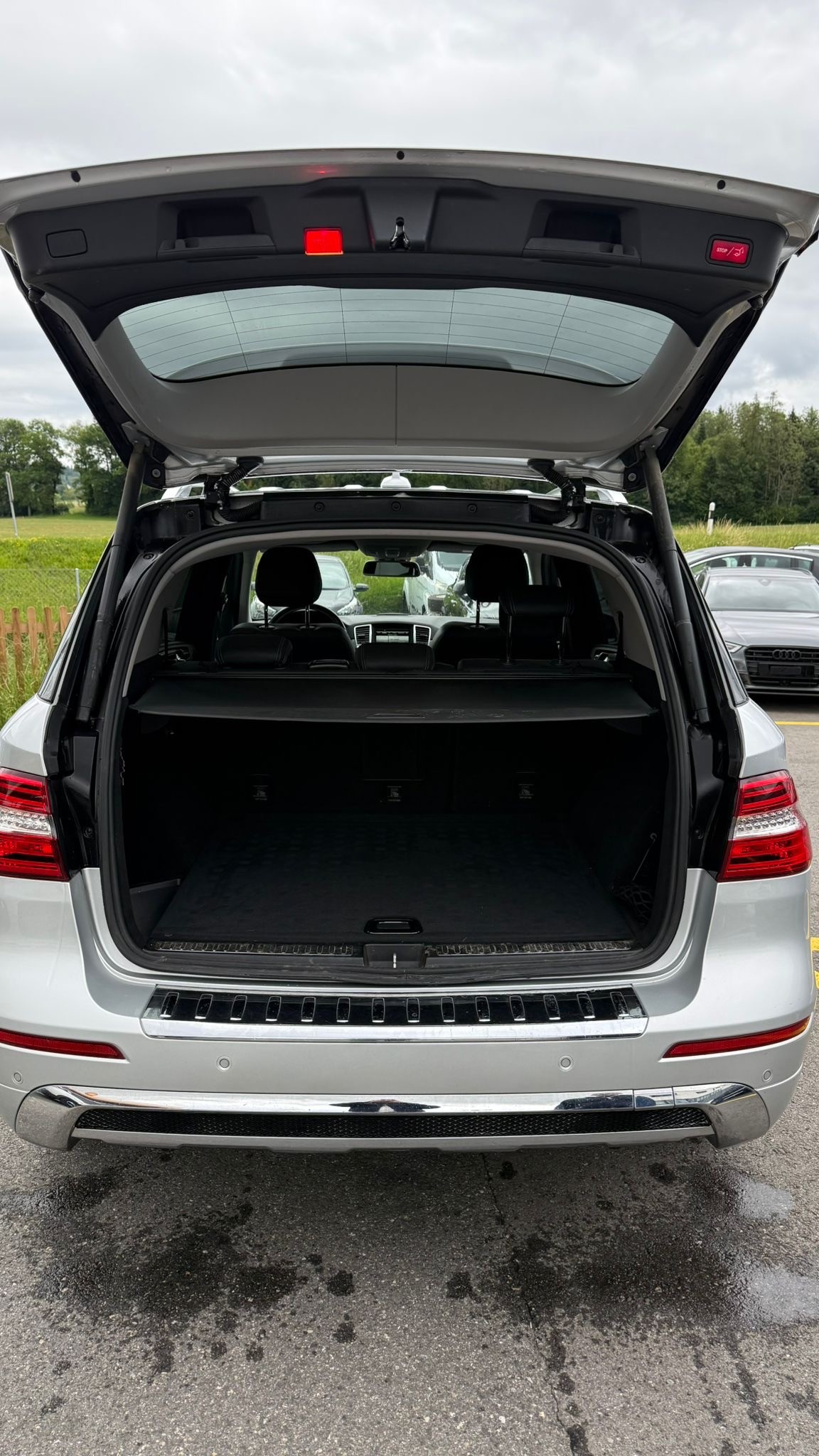 MERCEDES-BENZ ML 250 BlueTEC Executive 4Matic 7G-Tronic-image-10