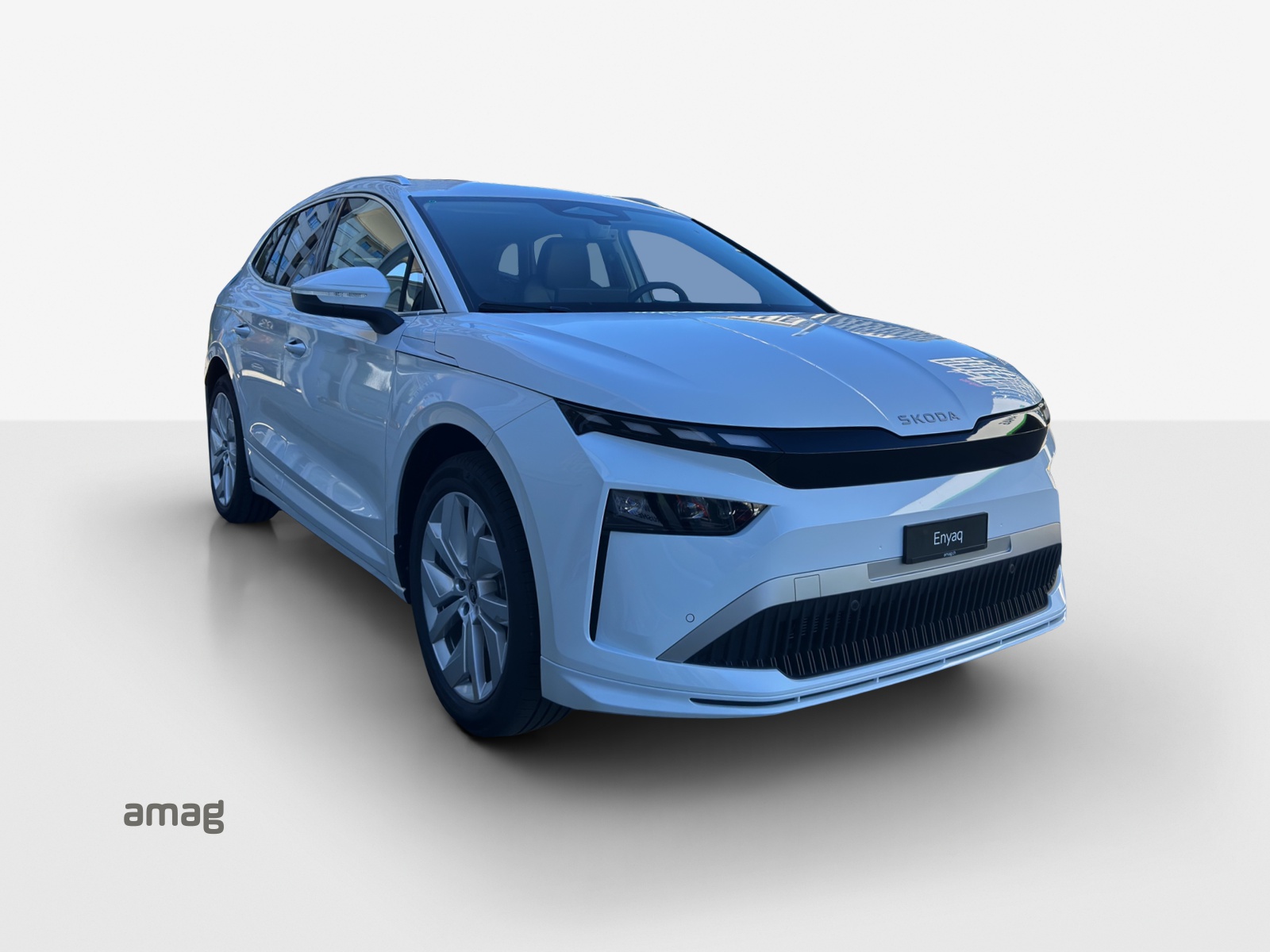 SKODA Enyaq 85x Dynamic 4x4-image-5