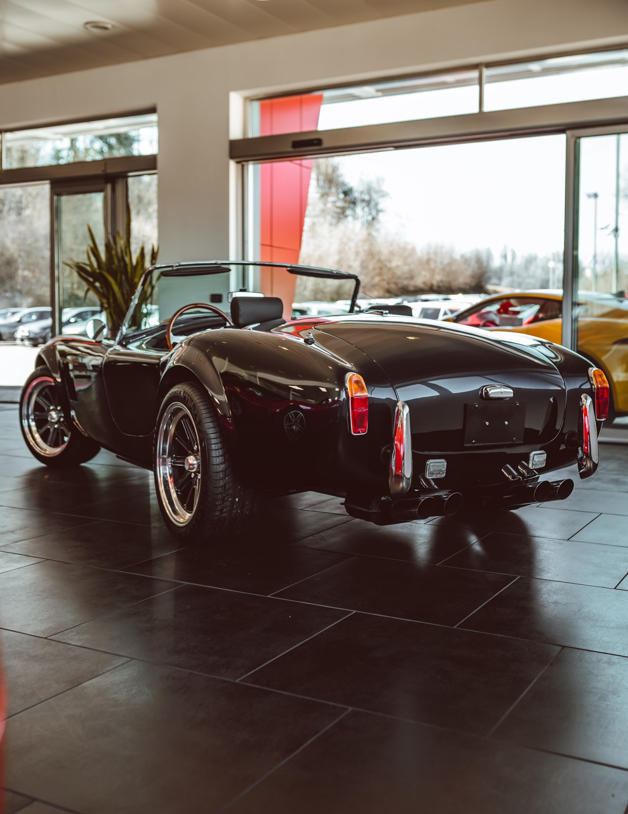 AC Cobra Aurora GRX 5.0 V8-showroom-element-2