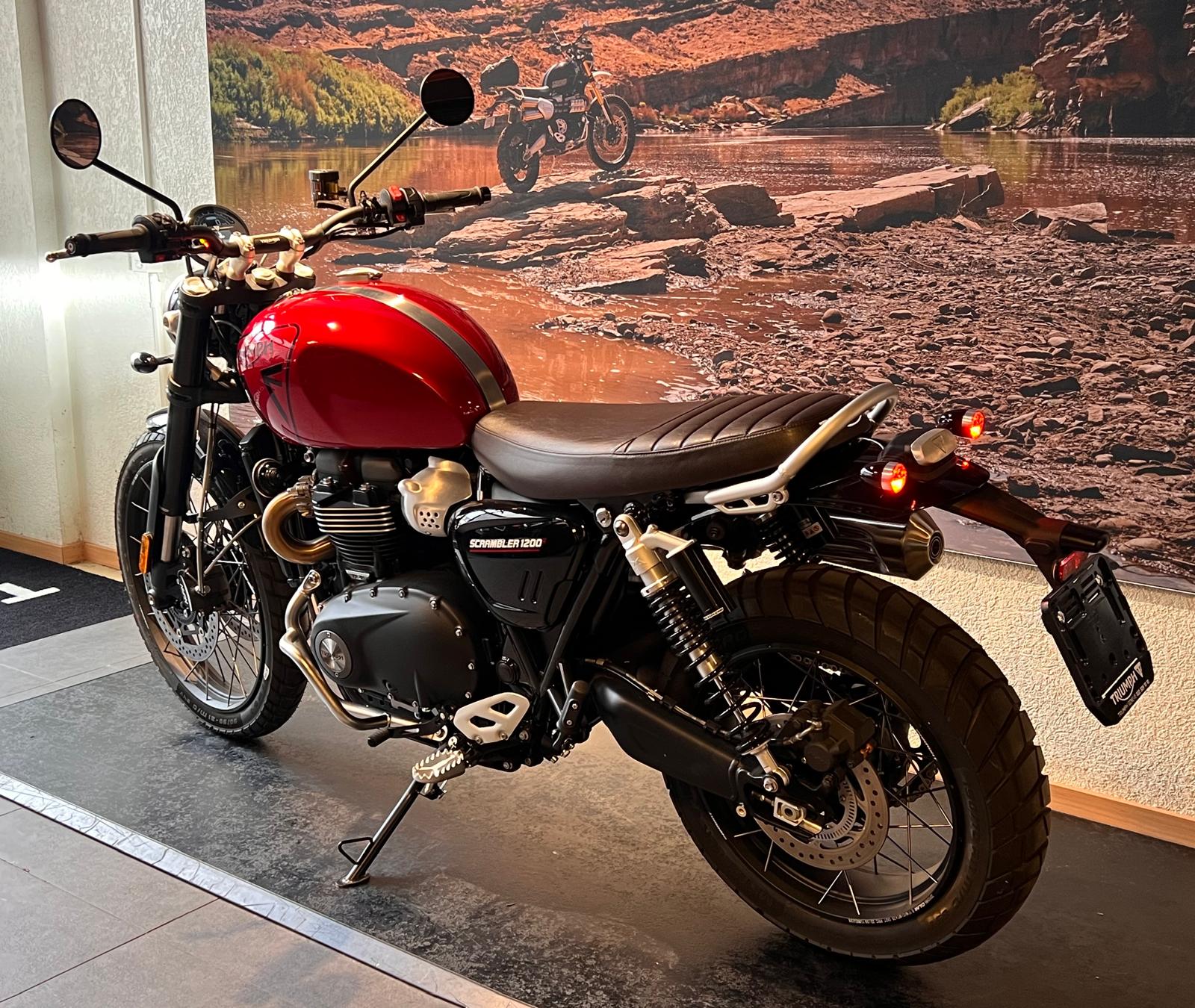 TRIUMPH Scrambler 1200 X-image-5