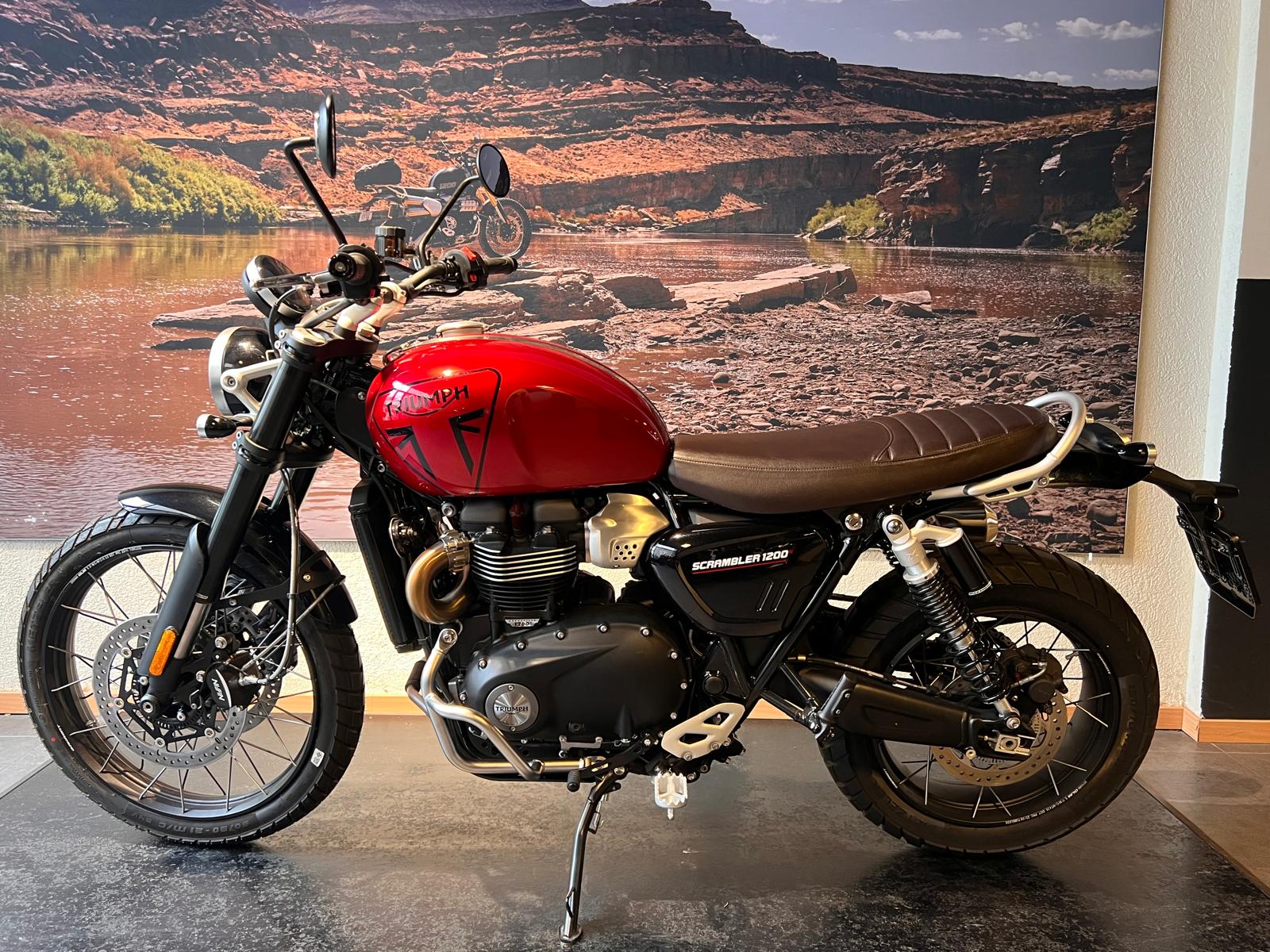 TRIUMPH Scrambler 1200 X-image-4