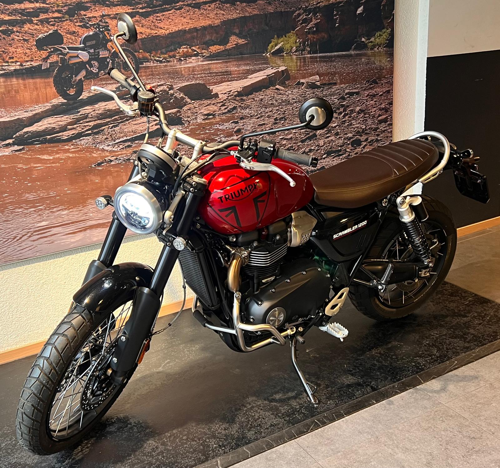 TRIUMPH Scrambler 1200 X-image-3