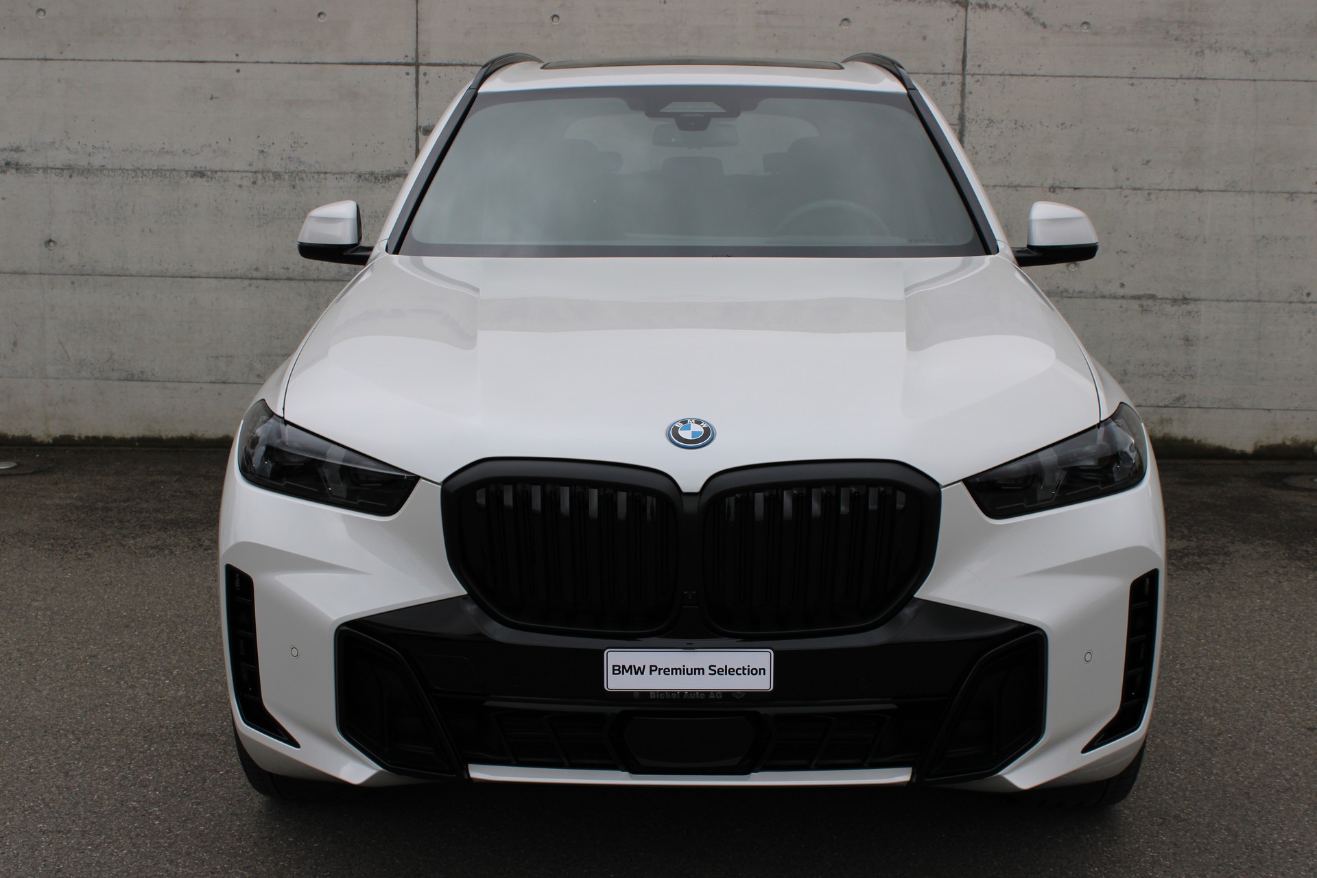 BMW X5 xDr 50e M Sport Pro-showroom-element-1