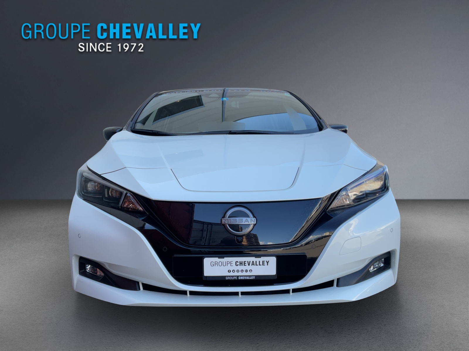 NISSAN Leaf e+ Tekna(incl. batt)-showroom-element-1