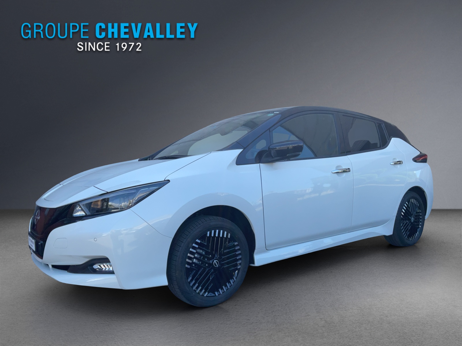 NISSAN Leaf e+ Tekna(incl. batt)