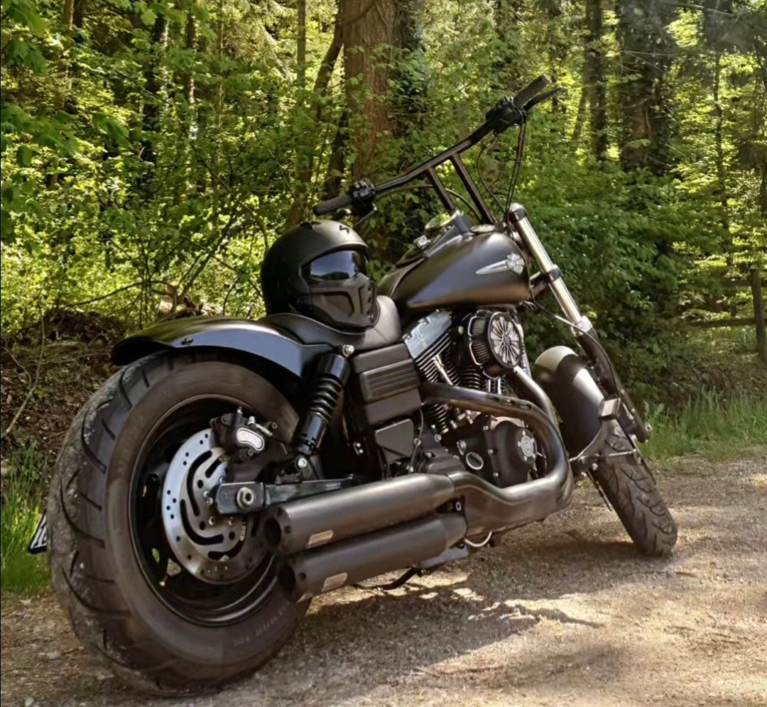 HARLEY-DAVIDSON FXDF Dyna Fat Bob ABS-image-1