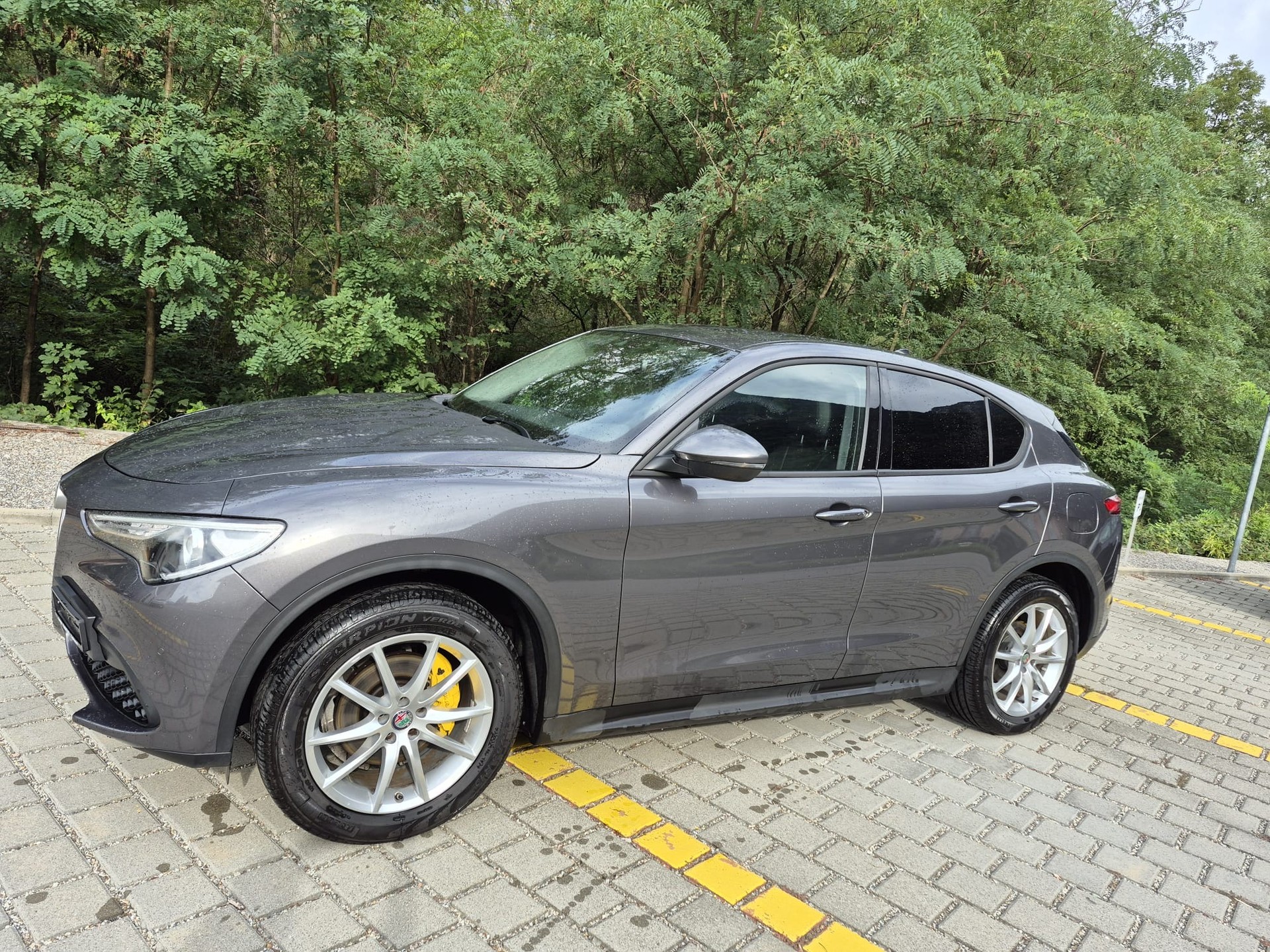 ALFA ROMEO Stelvio 2.2 JTDM Business Automatic Q4-showroom-element-2