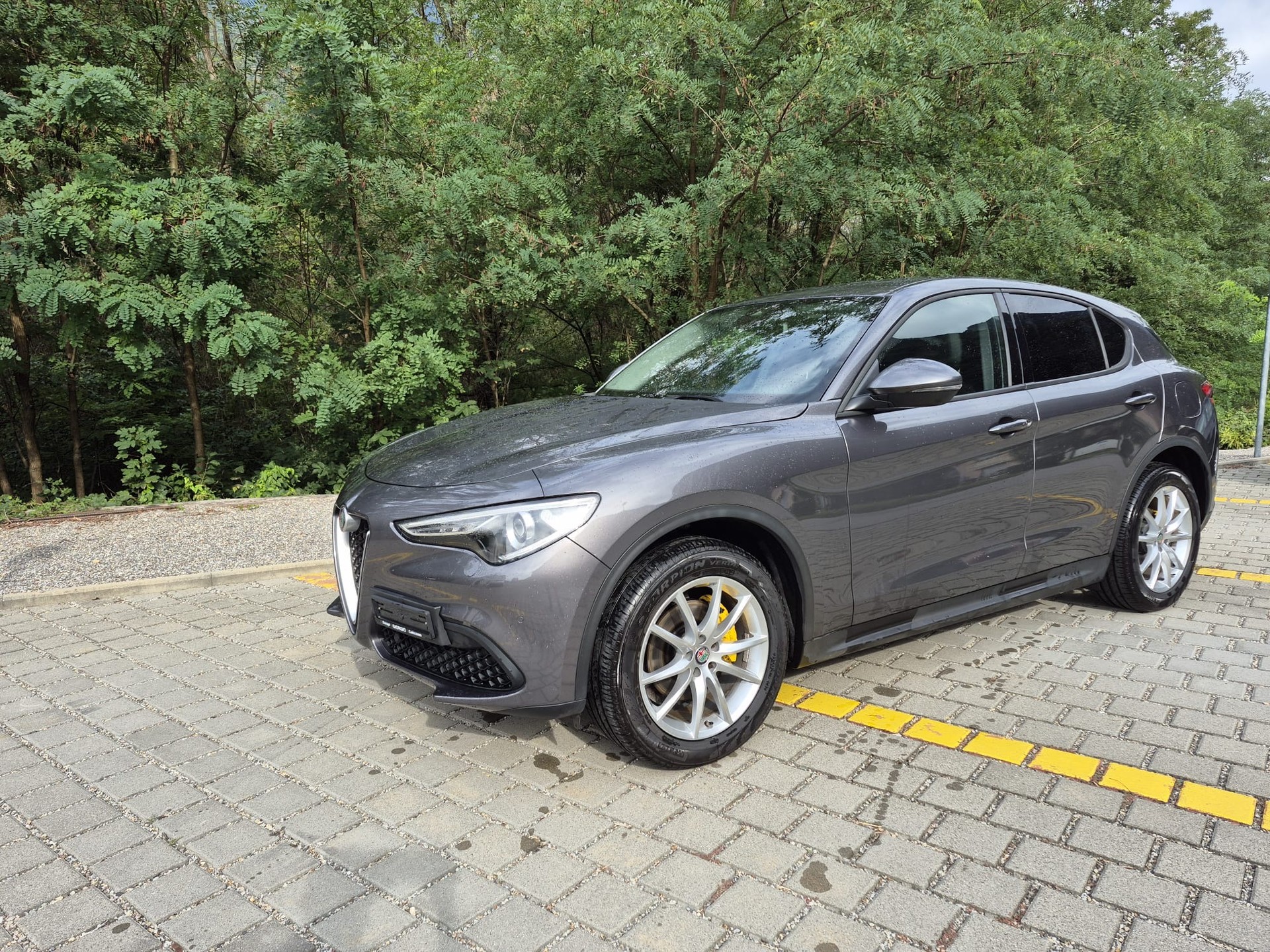 ALFA ROMEO Stelvio 2.2 JTDM Business Automatic Q4-image-4