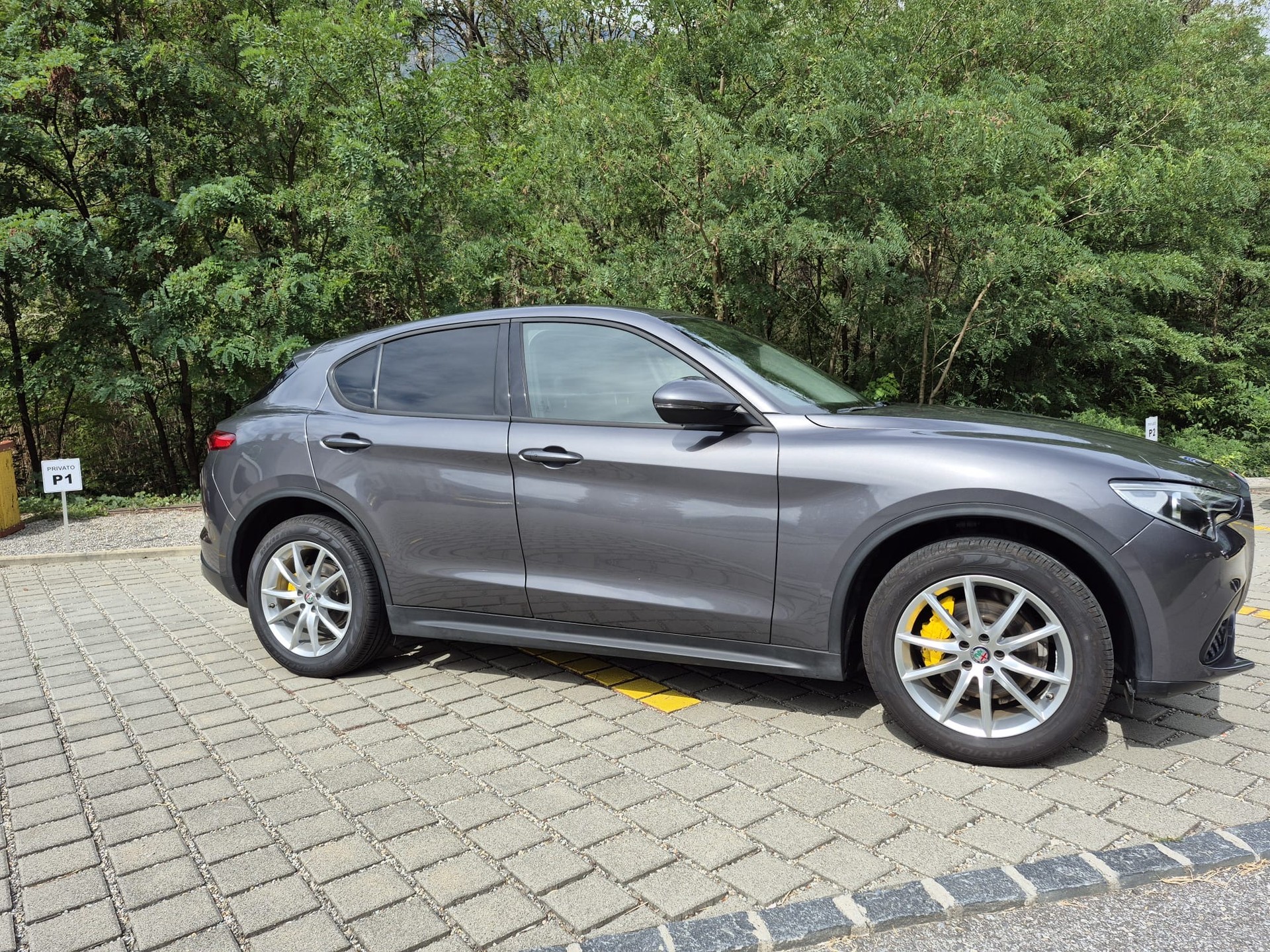 ALFA ROMEO Stelvio 2.2 JTDM Business Automatic Q4-image-9