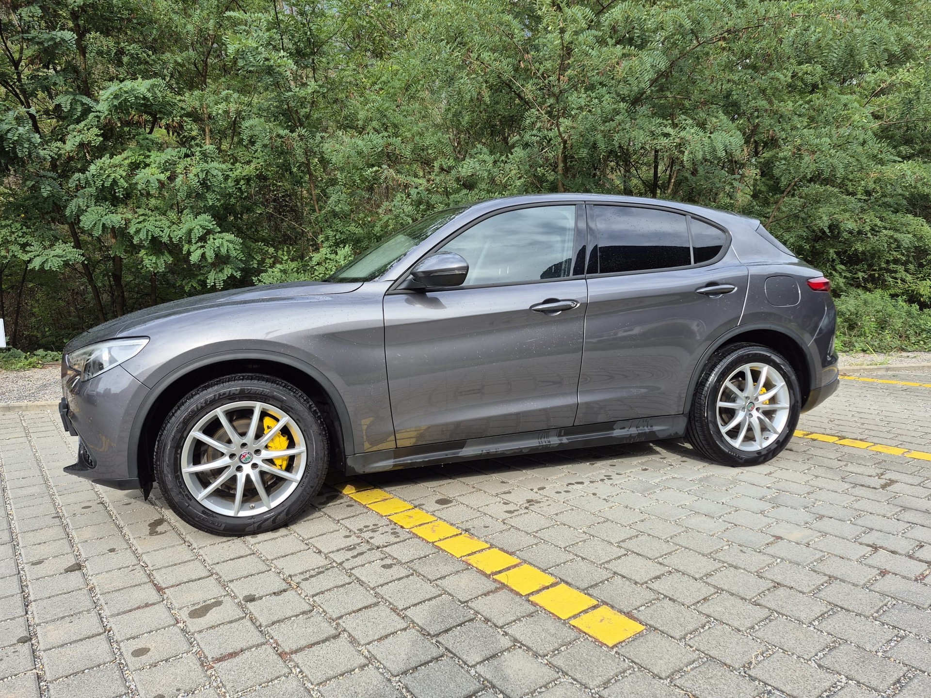 ALFA ROMEO Stelvio 2.2 JTDM Business Automatic Q4-showroom-element-3