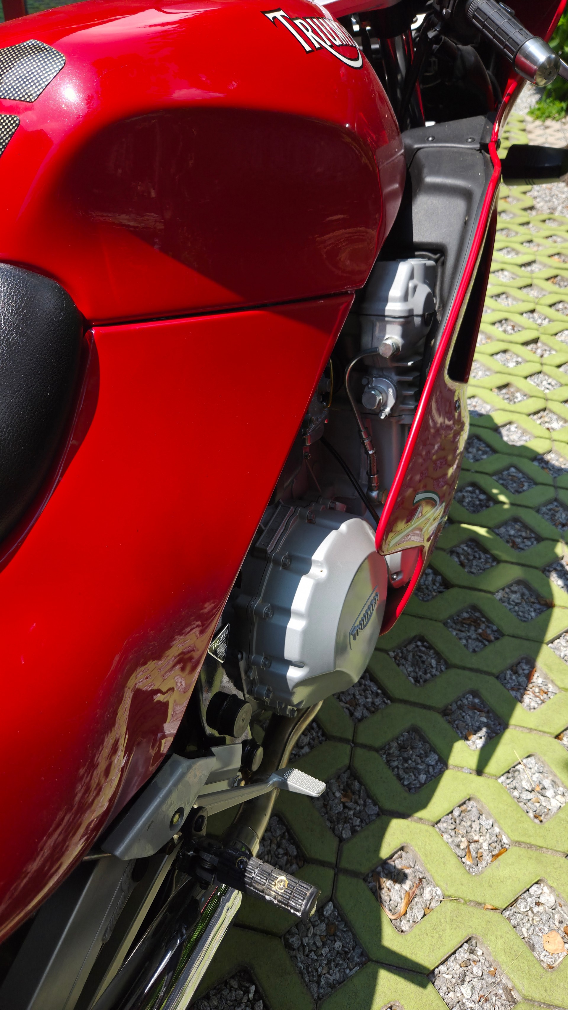 TRIUMPH Daytona 1000 Veteran-image-6
