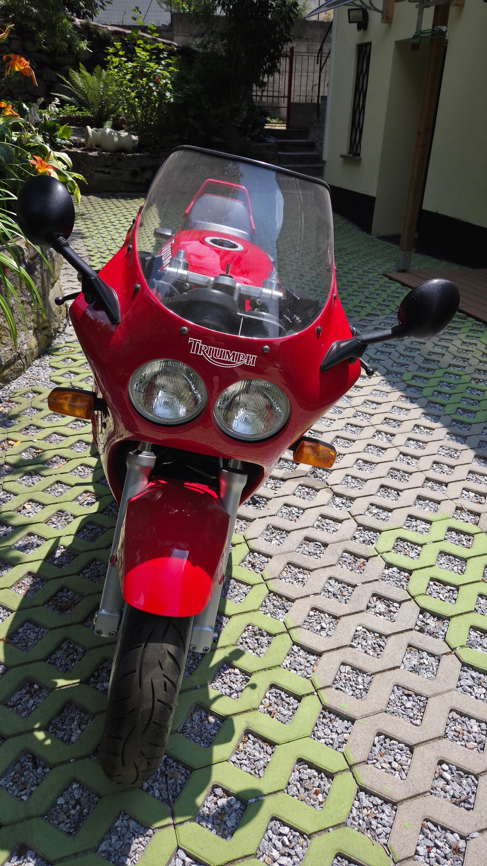 TRIUMPH Daytona 1000 Veteran-image-9