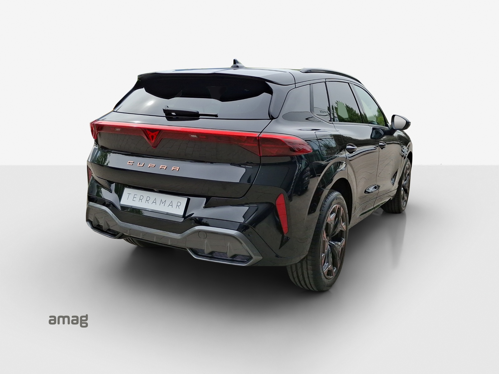 CUPRA Terramar 2.0 TSI Prime Edition DSG 4Drive-image-4
