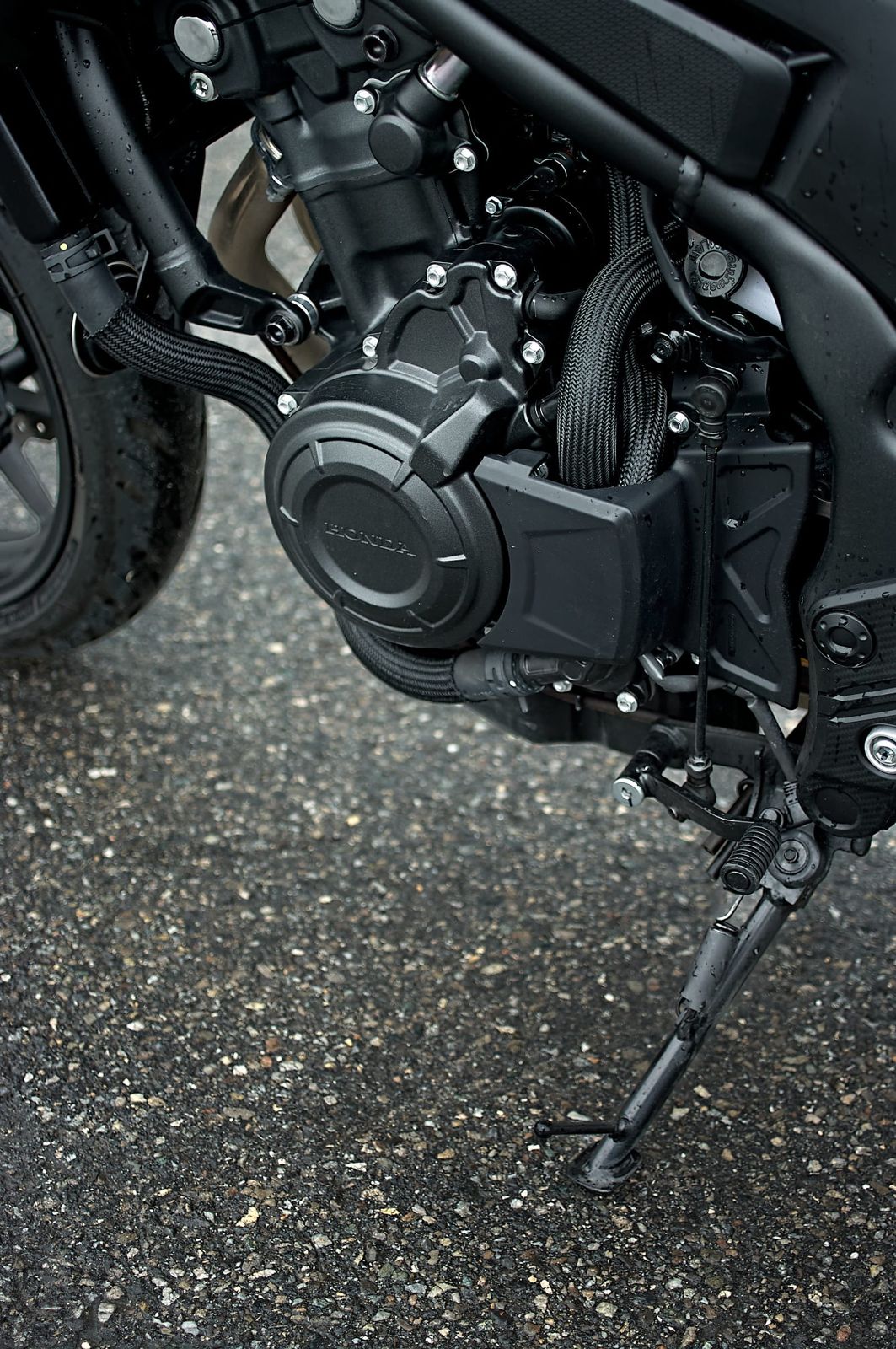 HONDA CB 500 Hornet-image-9