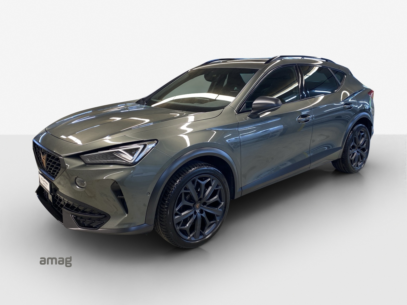 CUPRA Formentor 2.0TSI Tribe Edition DSG