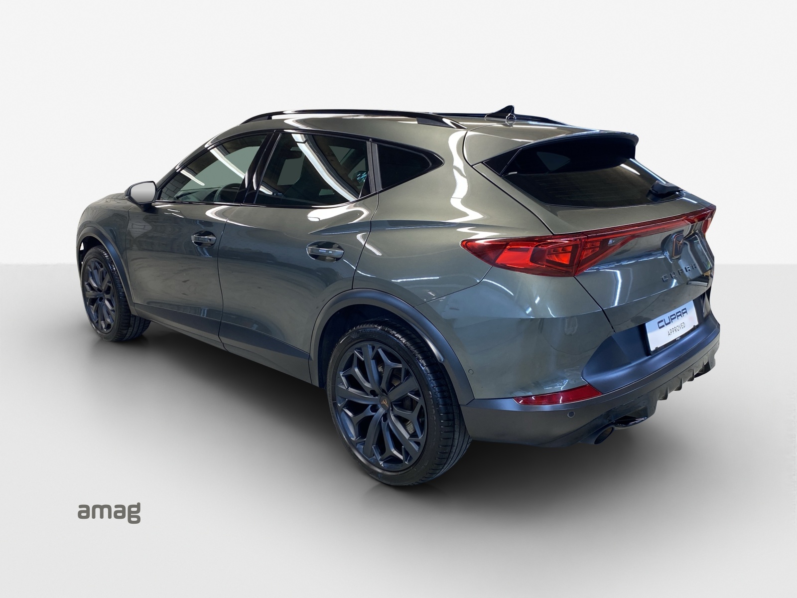 CUPRA Formentor 2.0TSI Tribe Edition DSG-showroom-element-2