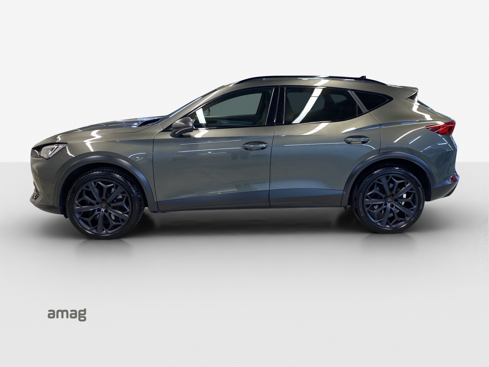 CUPRA Formentor 2.0TSI Tribe Edition DSG-showroom-element-1