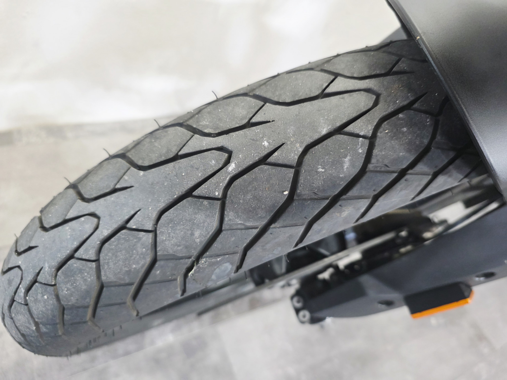 BMW G 310 GS Rallye-image-5