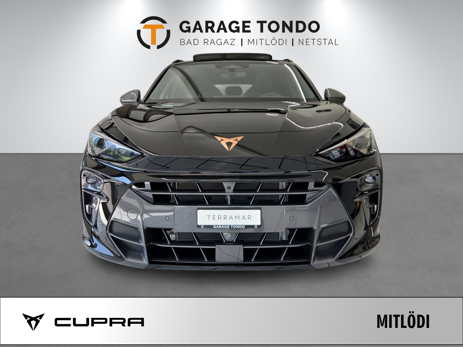 CUPRA Terramar 1.5 eHybrid Prime Edition VZ DSG-showroom-element-1