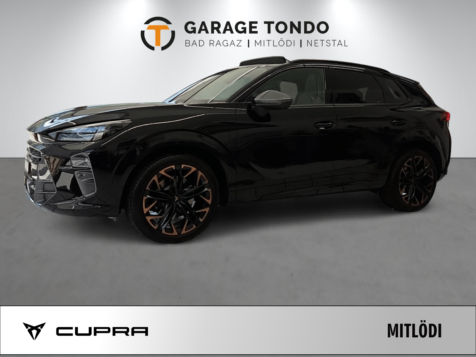 CUPRA Terramar 1.5 eHybrid Prime Edition VZ DSG-showroom-element-2