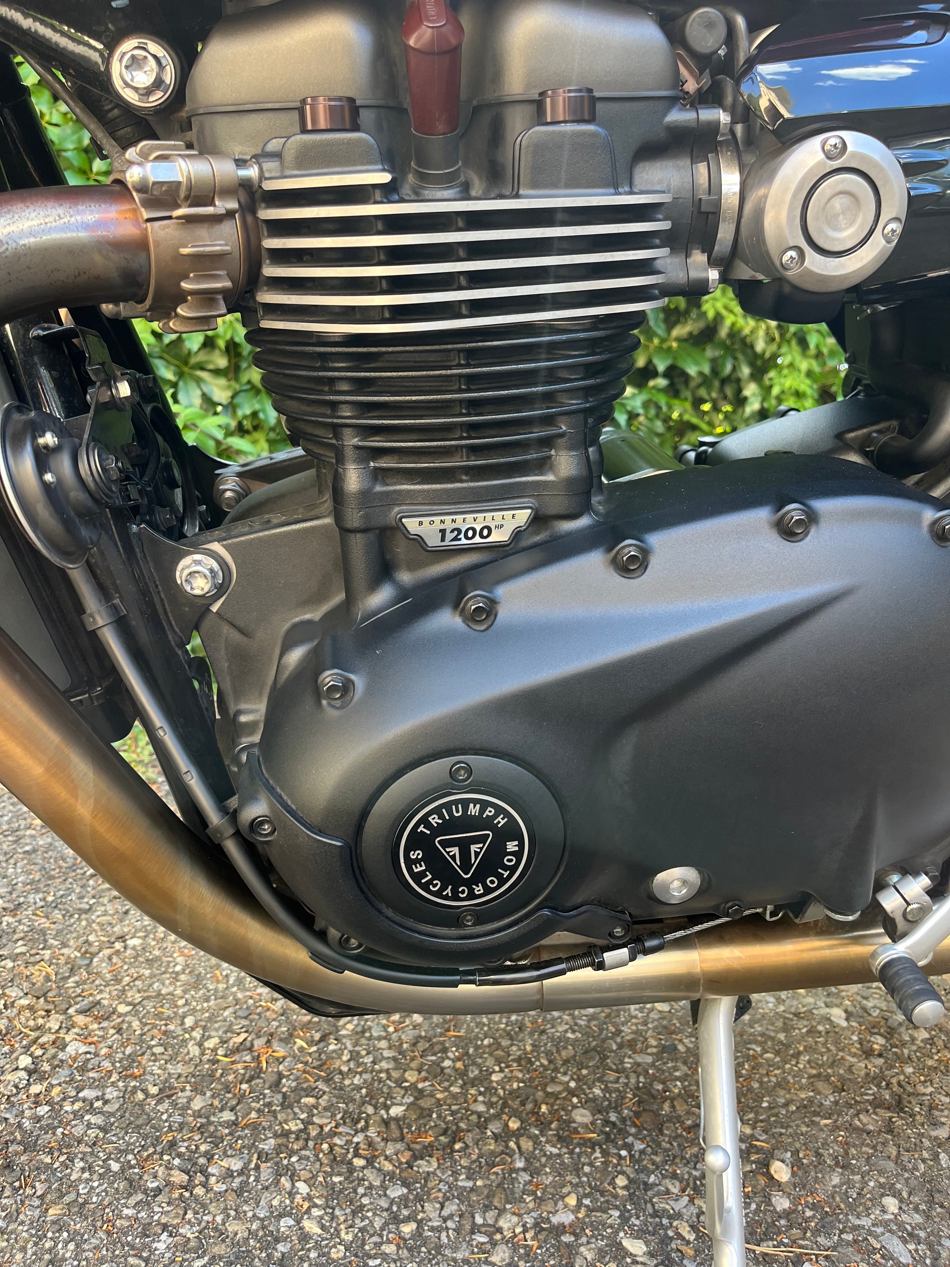 TRIUMPH Speed Twin 1200-image-5