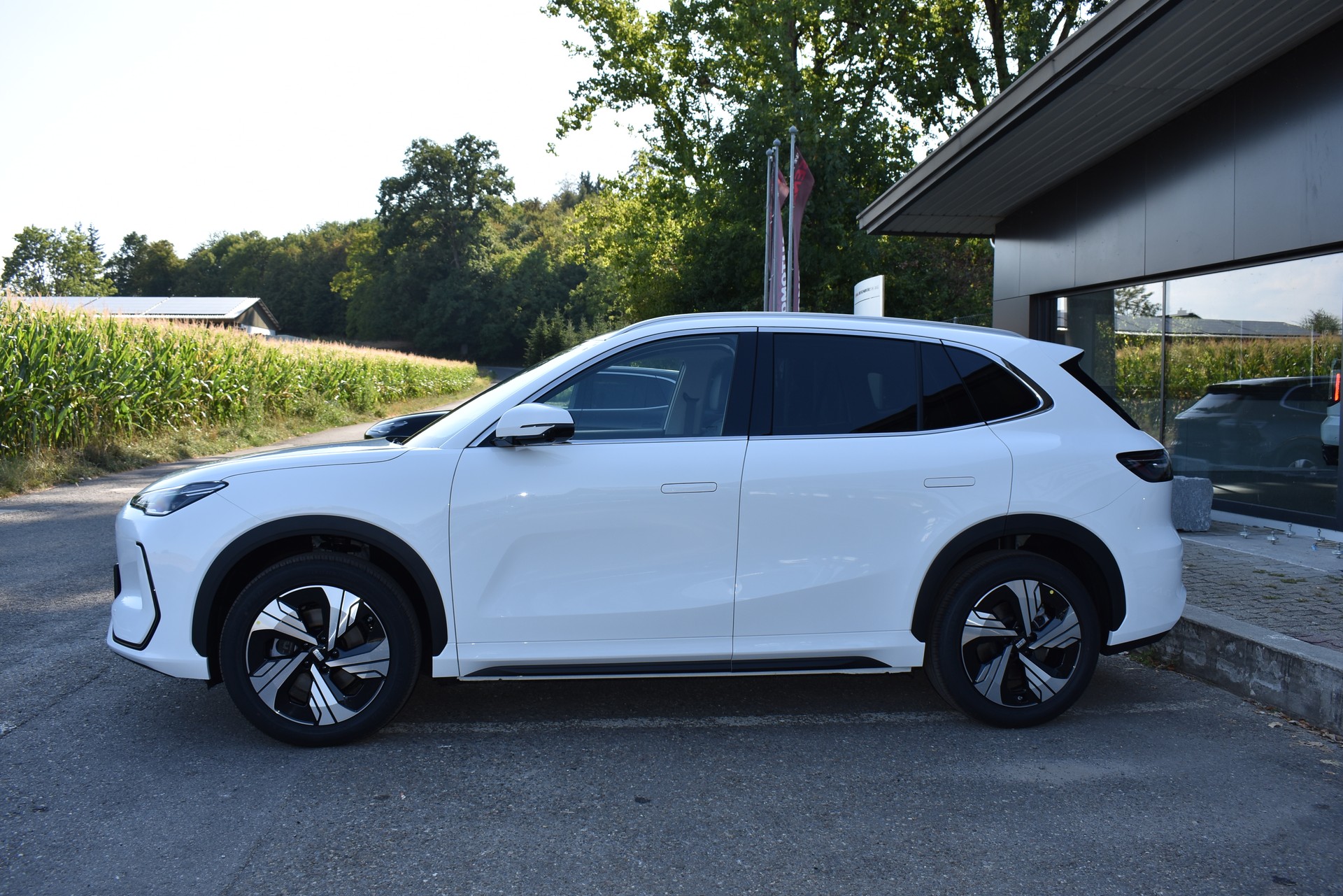 GEELY E5 Max+ Elektro-image-2
