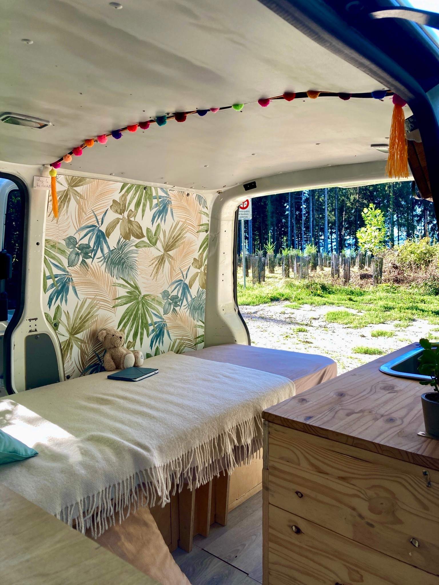 VW T5 TDI-image-5