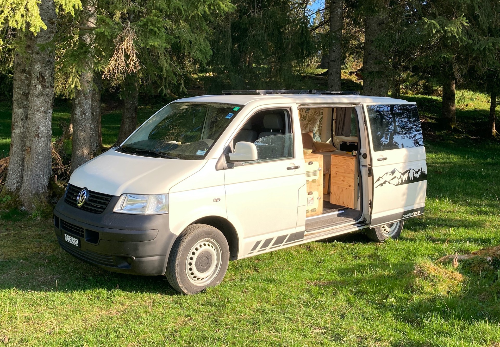 VW T5 TDI-image-0