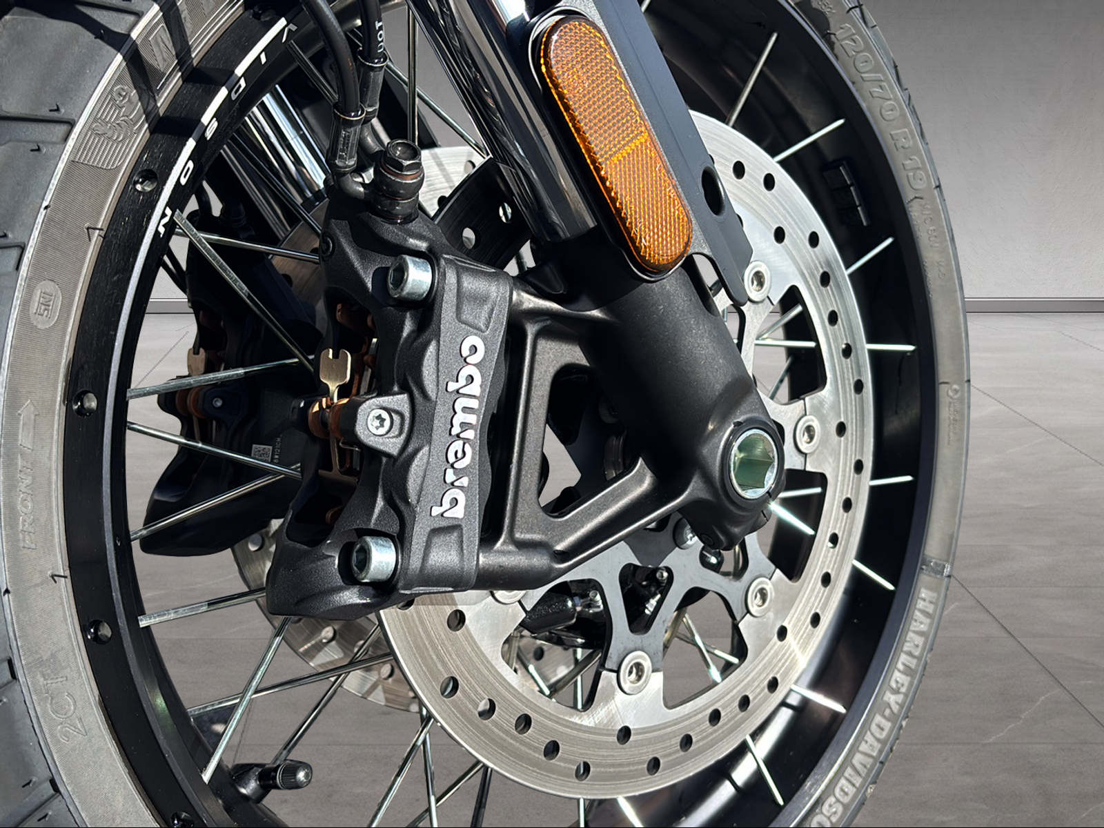 HARLEY-DAVIDSON RA Pan America 1250S Special-image-8