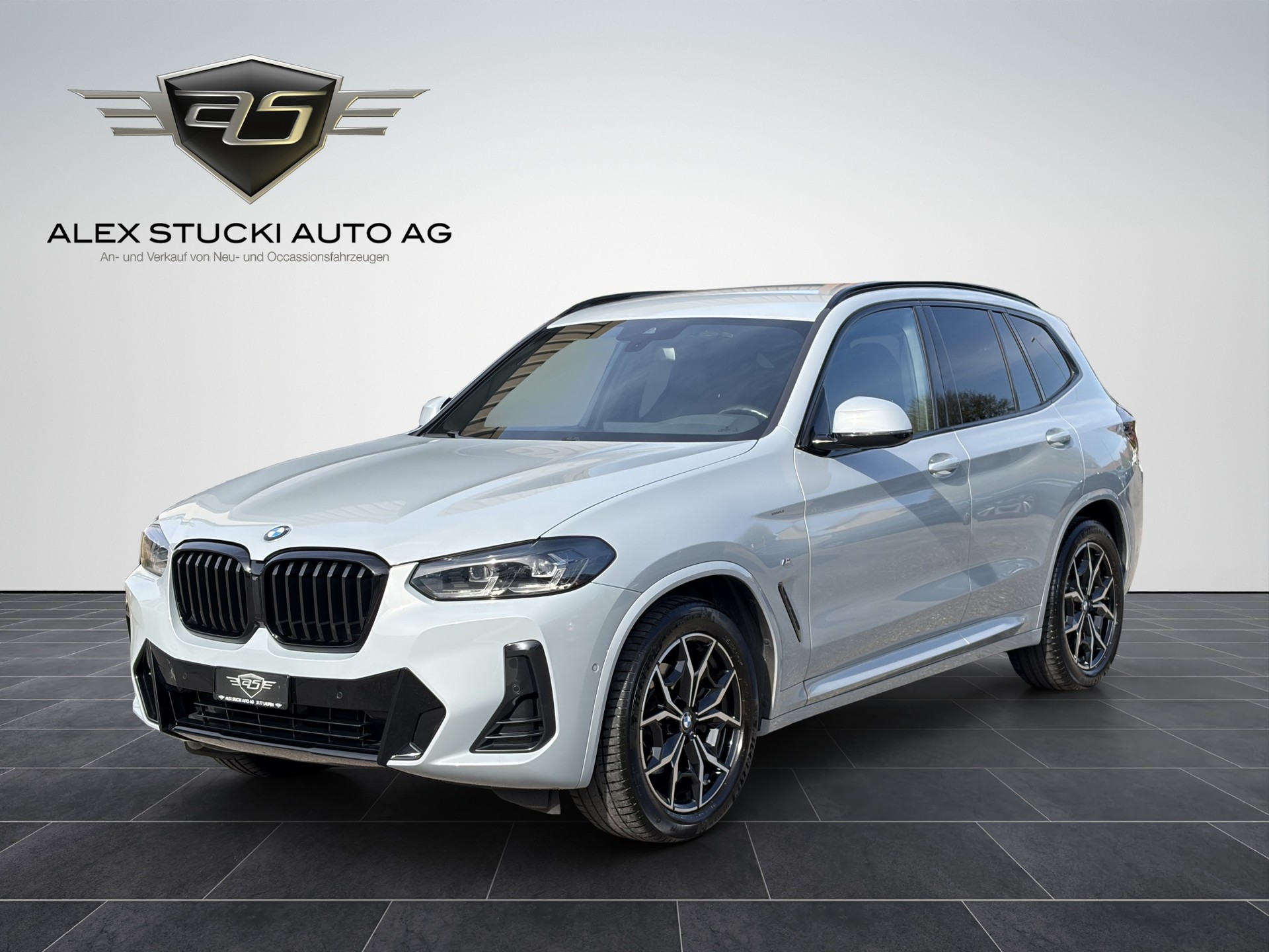 BMW X3 xDrive 48V 20d M Sport-showroom-element-2