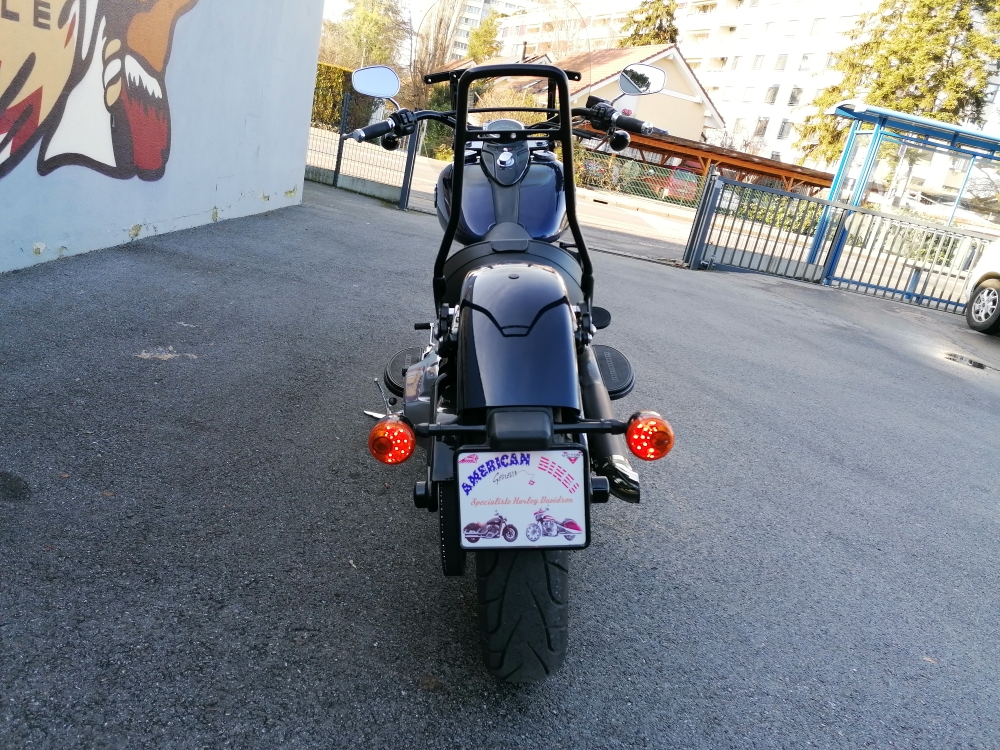 HARLEY-DAVIDSON FLS Softail Slim 103 ABS-image-12