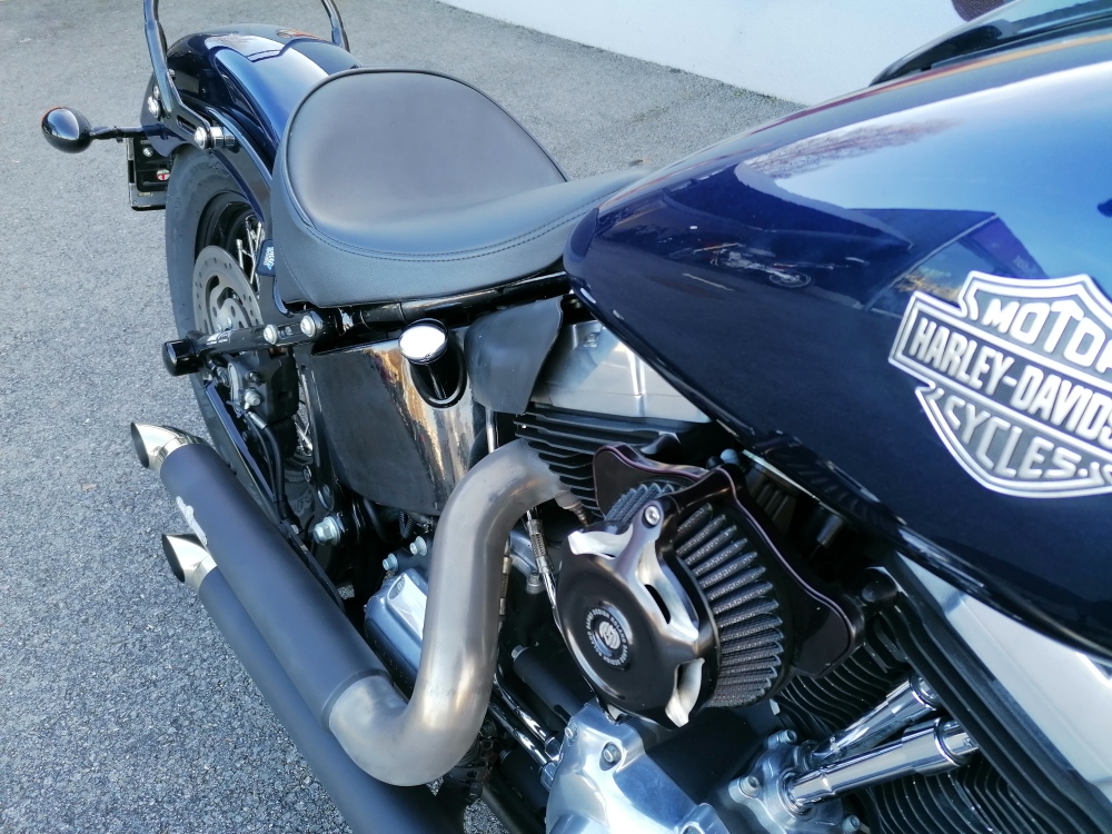 HARLEY-DAVIDSON FLS Softail Slim 103 ABS-image-11