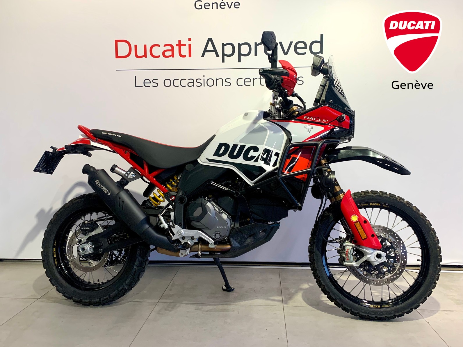 DUCATI Desert X Rally-image-0