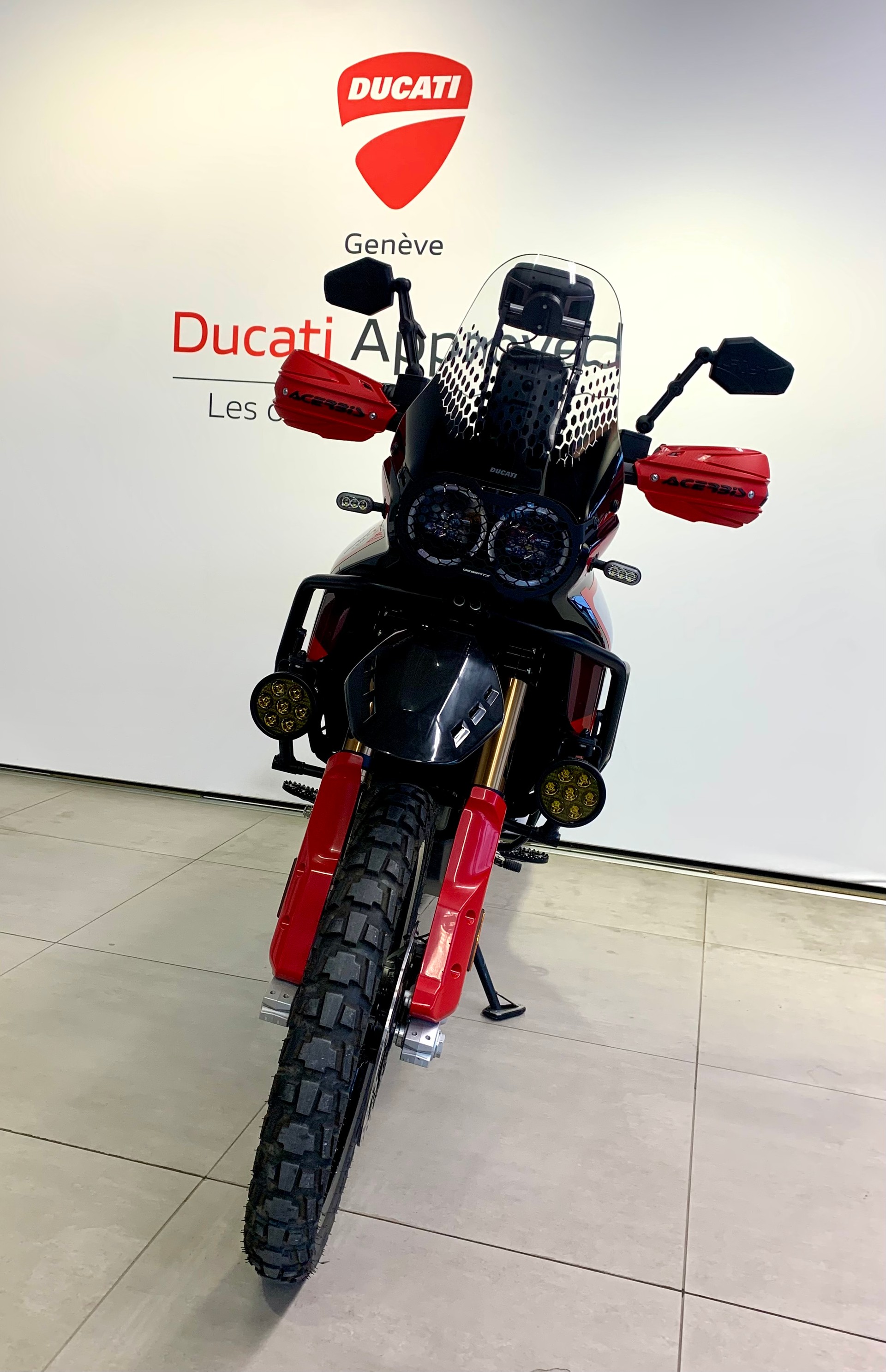 DUCATI Desert X Rally-image-2