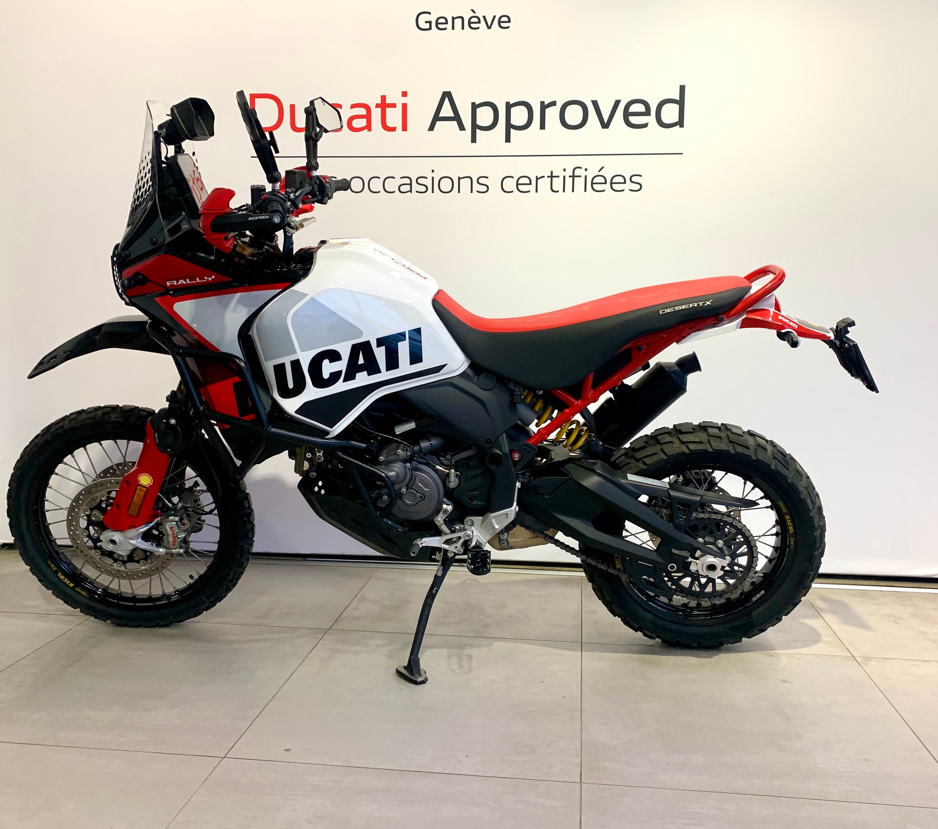 DUCATI Desert X Rally-image-1