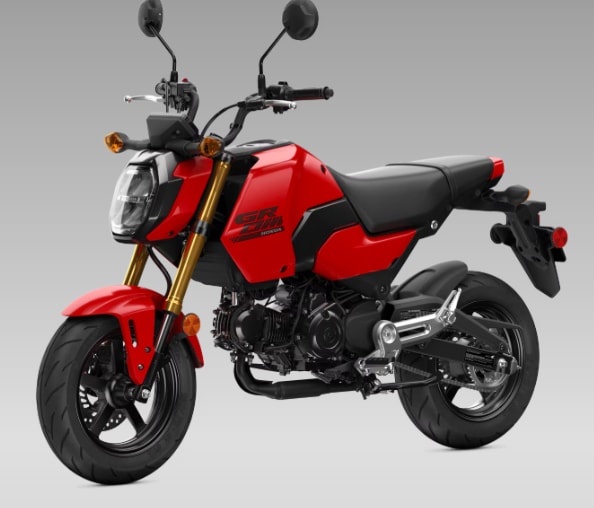 HONDA MSX 125-image-2