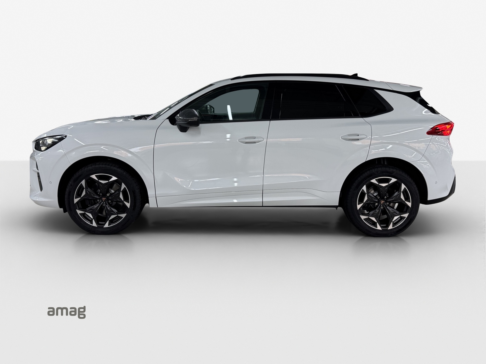 CUPRA Terramar 2.0 TSI DSG 4Drive VZ-showroom-element-1