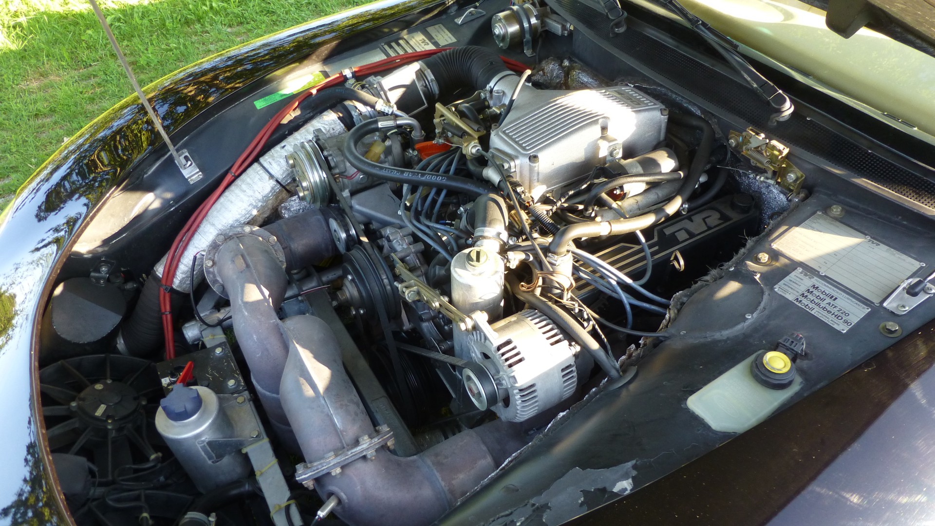 TVR Griffith V8 4.3-image-10